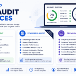 SEO Audit Pricing