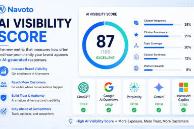 AI Visibility Score