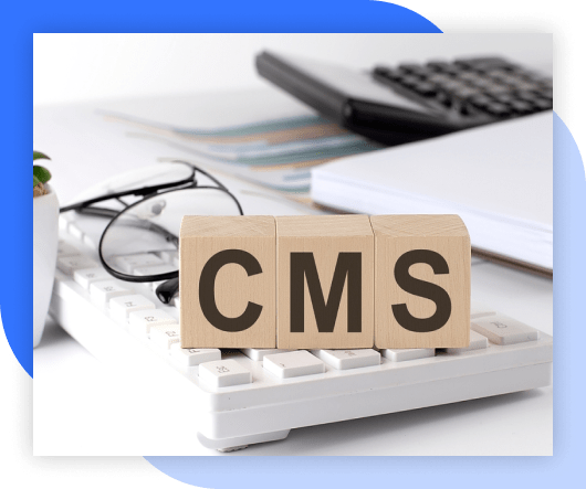 important of cms-min